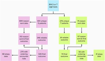 Fruitful or unfruitful: strawberry and tomato specific immunoglobulin E testing at a tertiary pediatric center